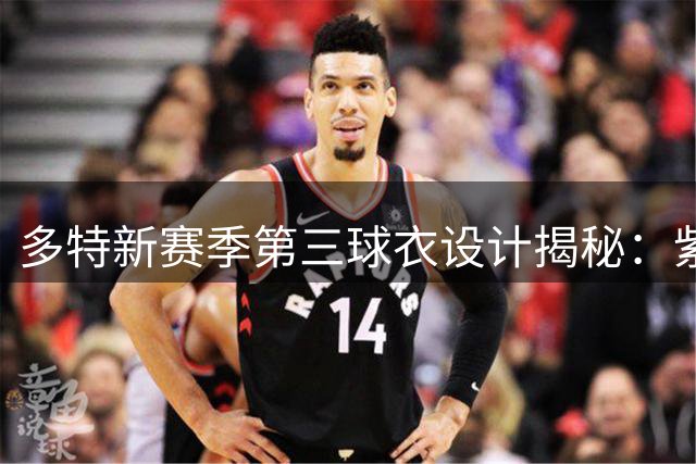 多特新赛季第三球衣设计揭秘：紫罗兰战袍惊艳亮相